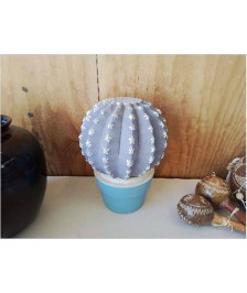 CACTUS DECO 