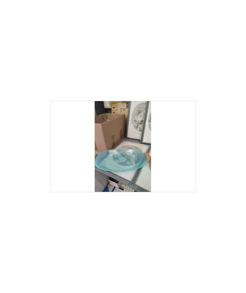 PLAT OVALE PLASTIQUE 