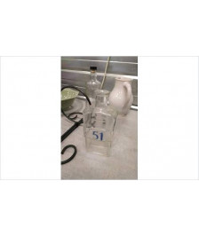 CARAFE 51