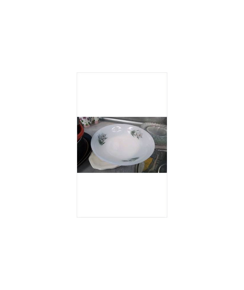 PLAT CREUX ARCOPAL