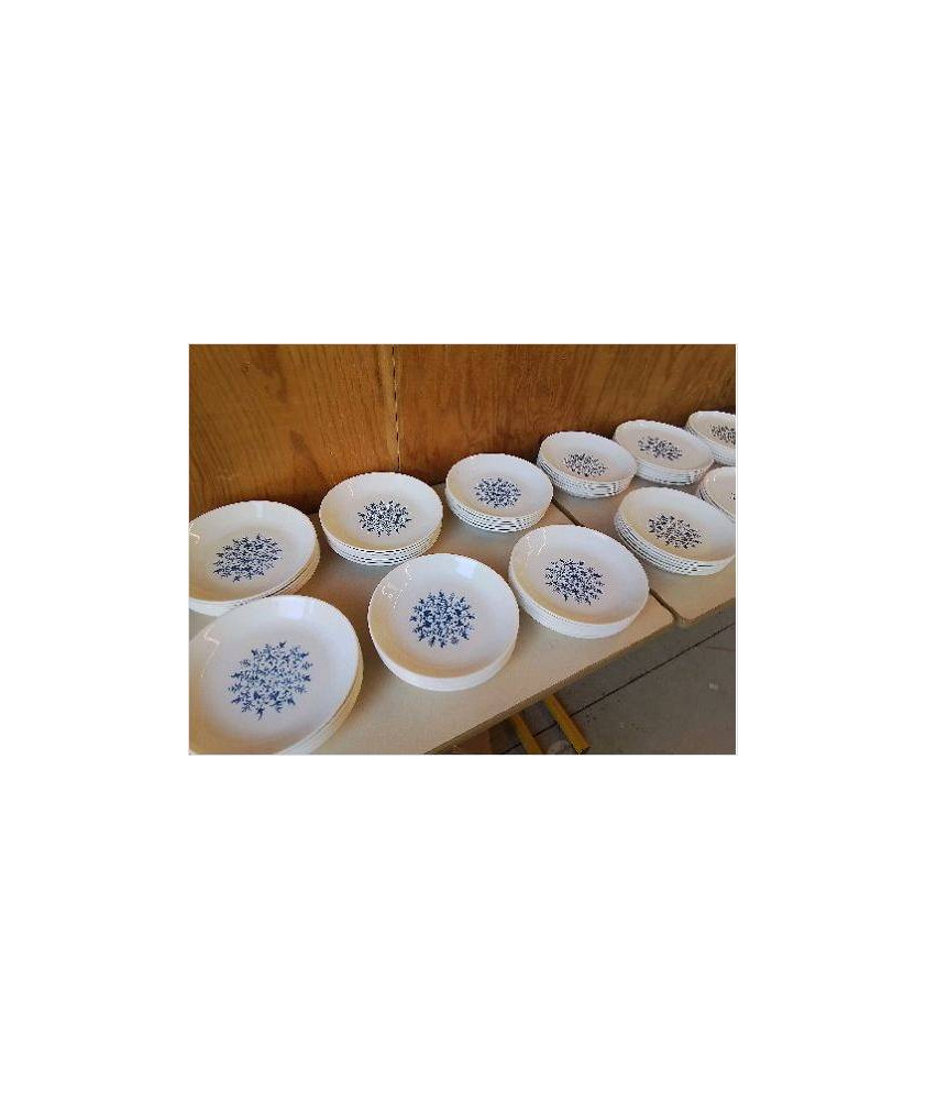 LOT DE 6 ASSIETES CREUSES DECO VEGETAL BLEUTÉ