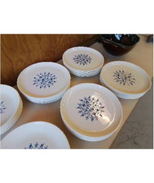 LOT DE 6 ASSIETES PLATES DECO VEGETAL BLEUTÉ