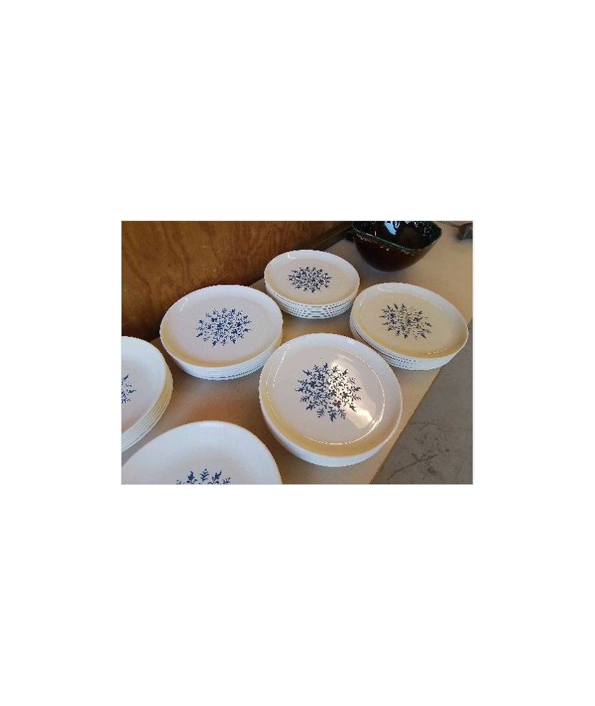 LOT DE 6 ASSIETES PLATES DECO VEGETAL BLEUTÉ