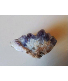 PETITE GEODE