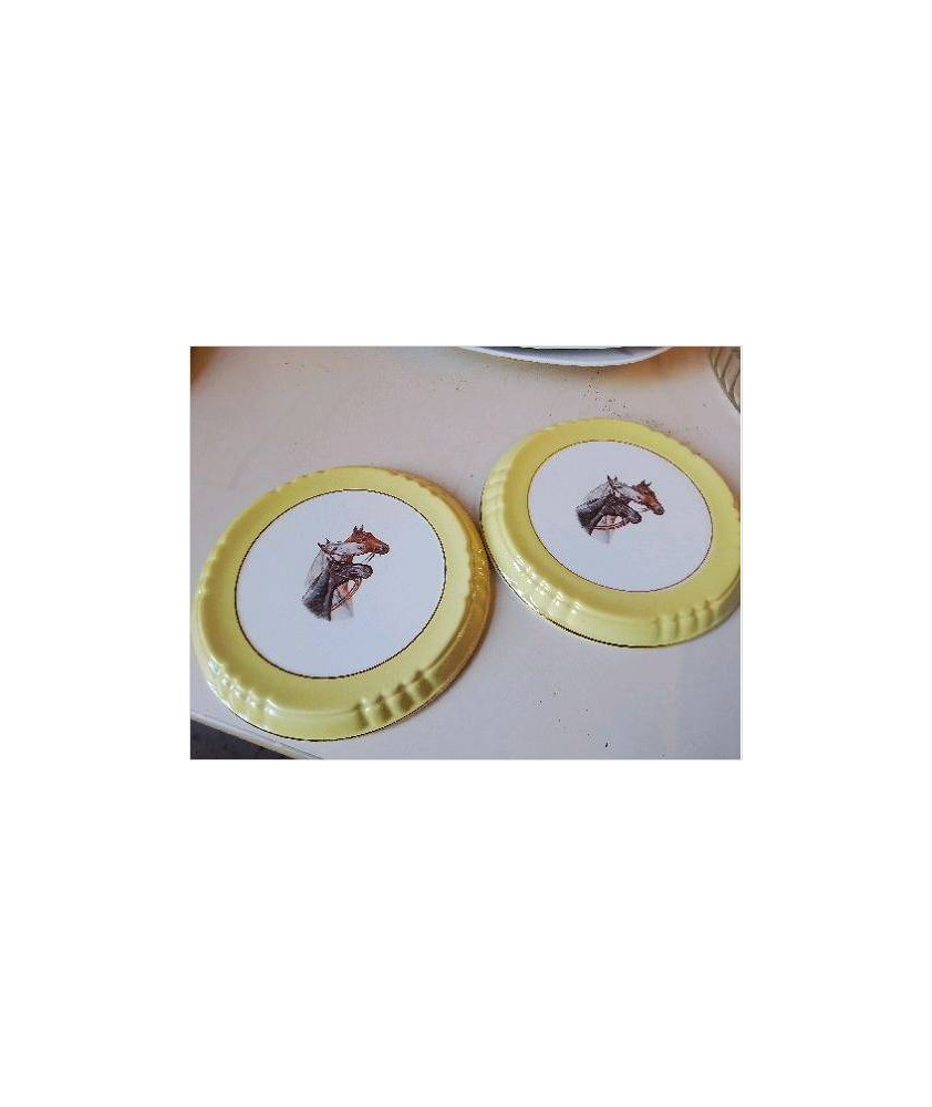 DESSOUS DE PLAT CHEVAUX 
