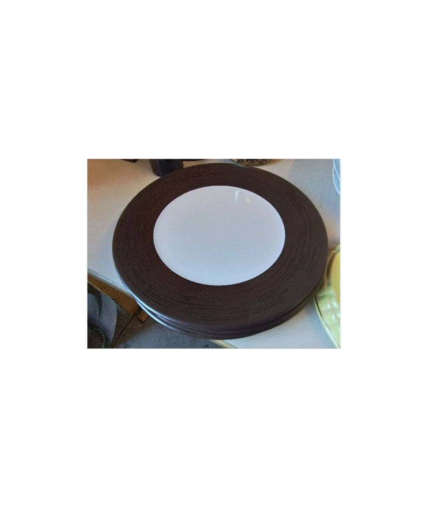 LOT DE 4 ASSIETTES PLATES 