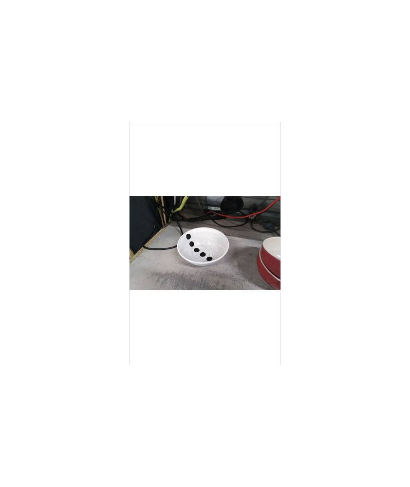 BOL BLANC 