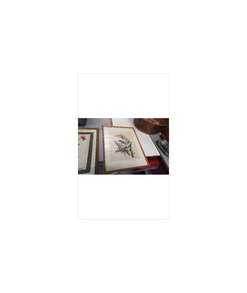 CADRE CHENILLE DEVIENT PAPILLON