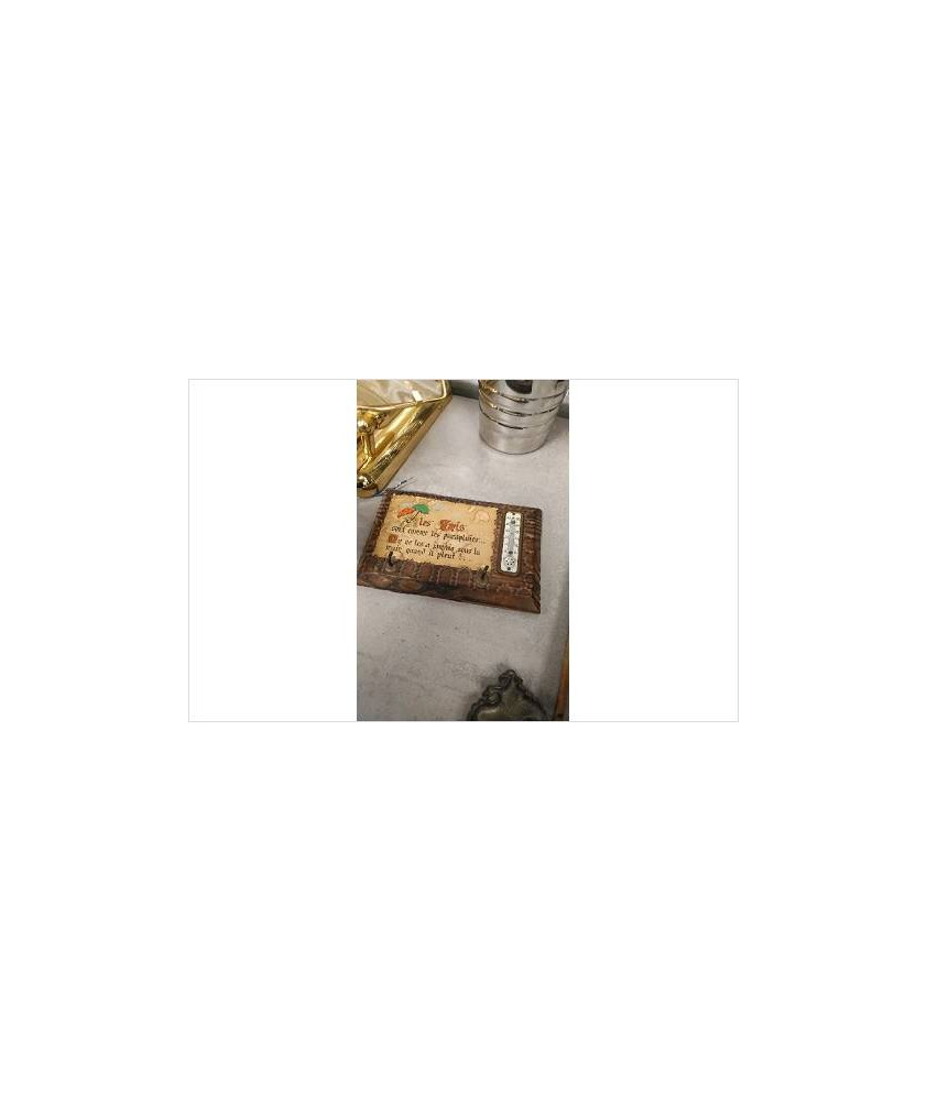THERMOMETRE PORTE CLES 
