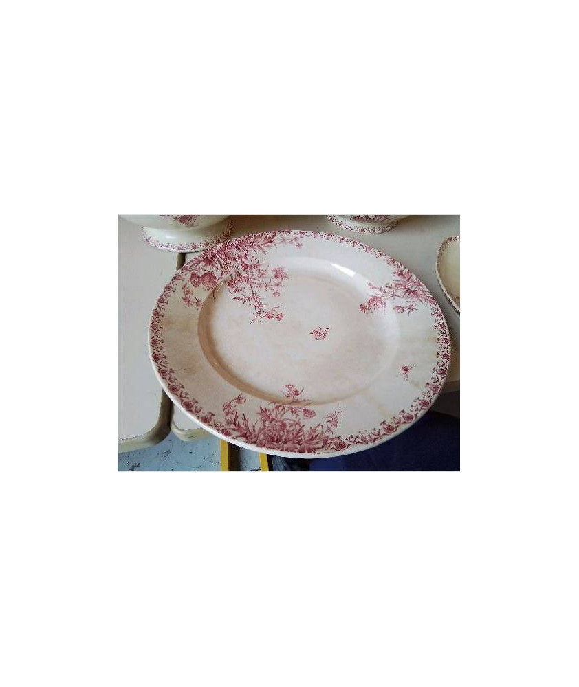 PLAT TERRE DE FER