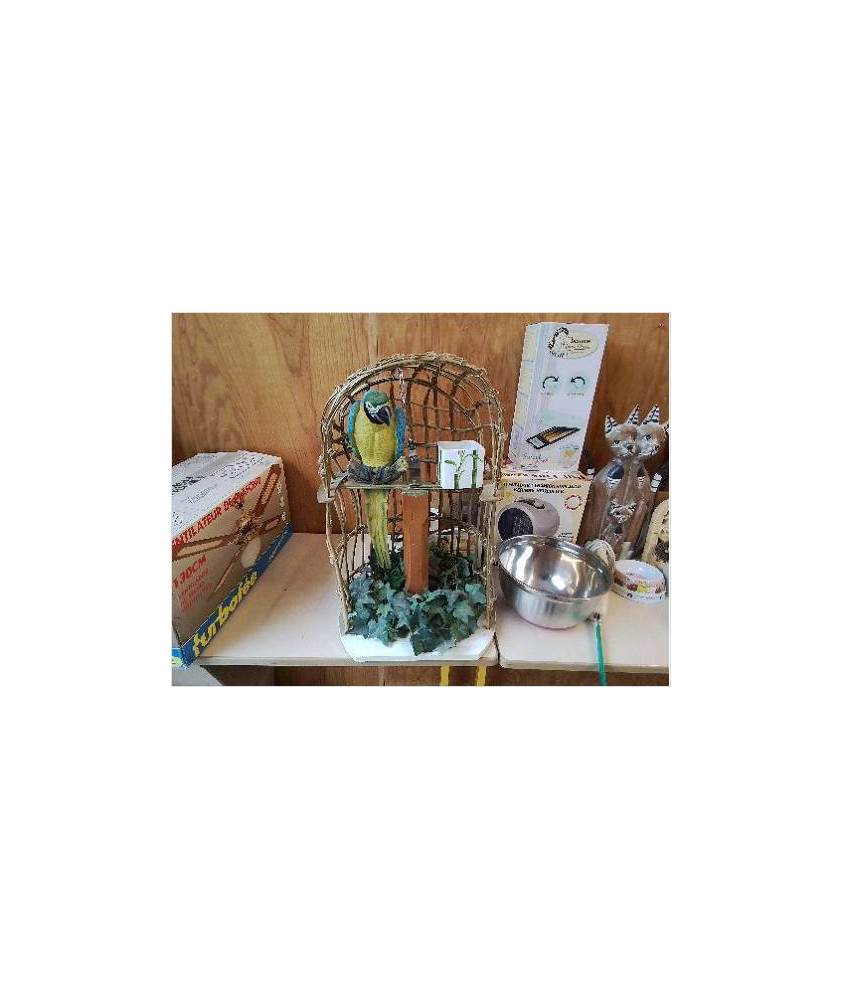 DECORATION D’INTÉRIEUR COCO 