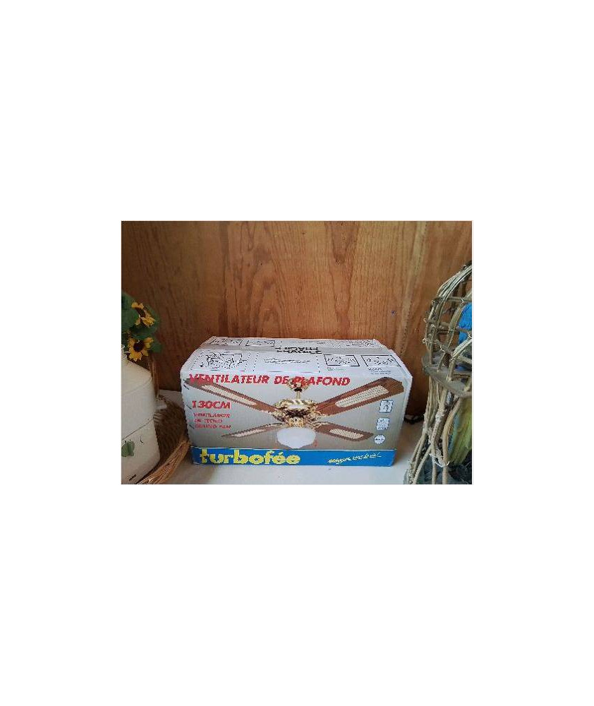 VENTILATEUR DE PLAFOND 