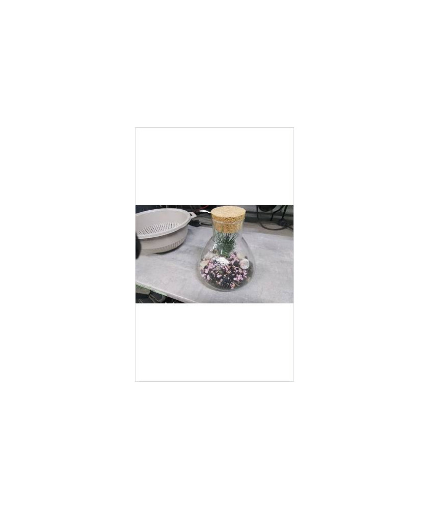 DECO COQUILLAGES DANS POT