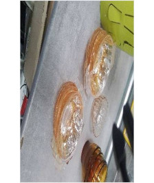 COUPELLES VERRE X6  