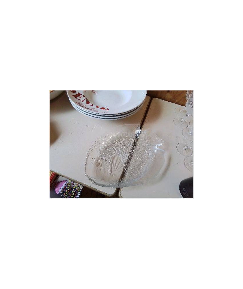 DUO PLAT POISSON EN VERRE 