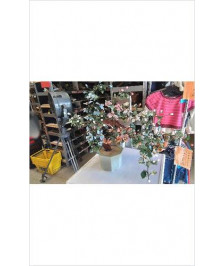 DECO ARBRE BONZAI/ VERRE