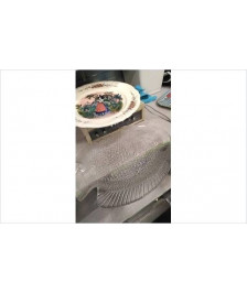 PLAT POISSON