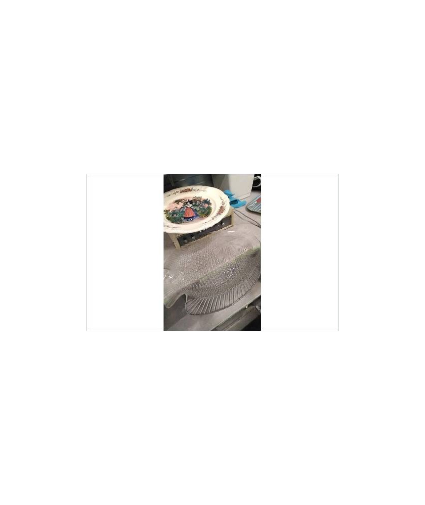 PLAT POISSON