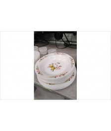 ASSIETTE ARCOPAL LE LOT