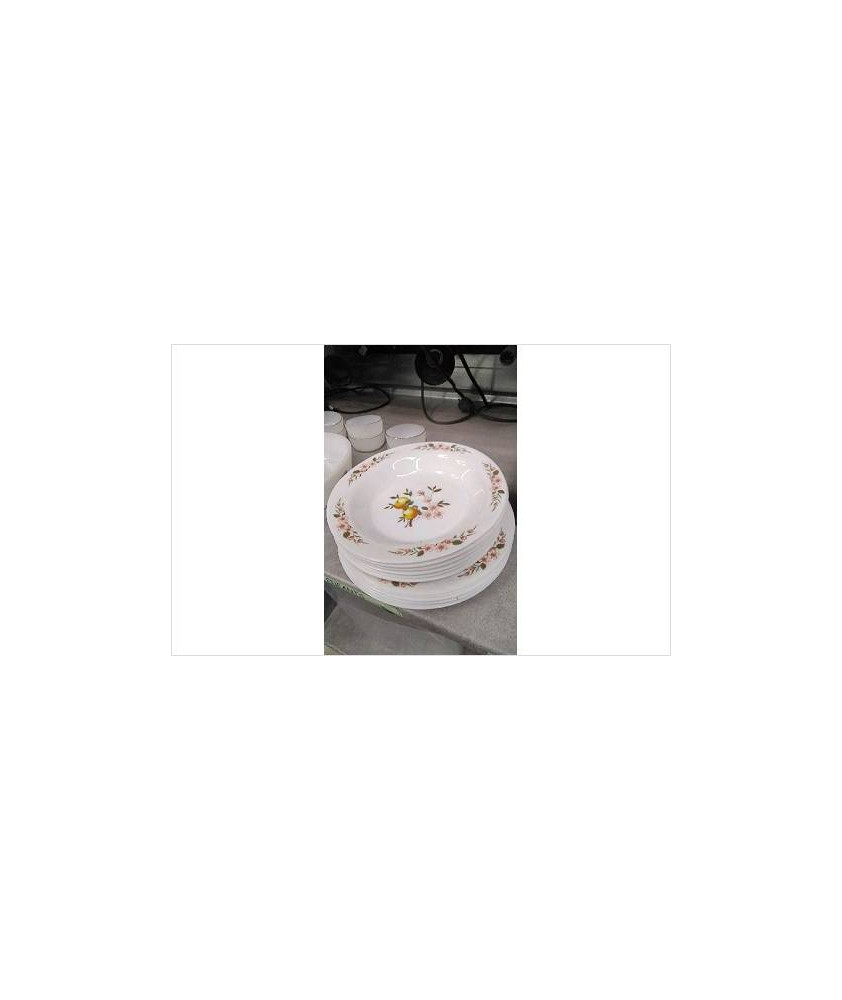 ASSIETTE ARCOPAL LE LOT