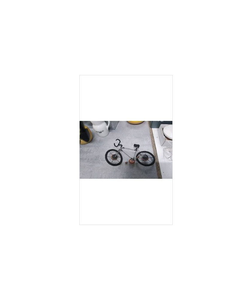 VELO FIL DE FER