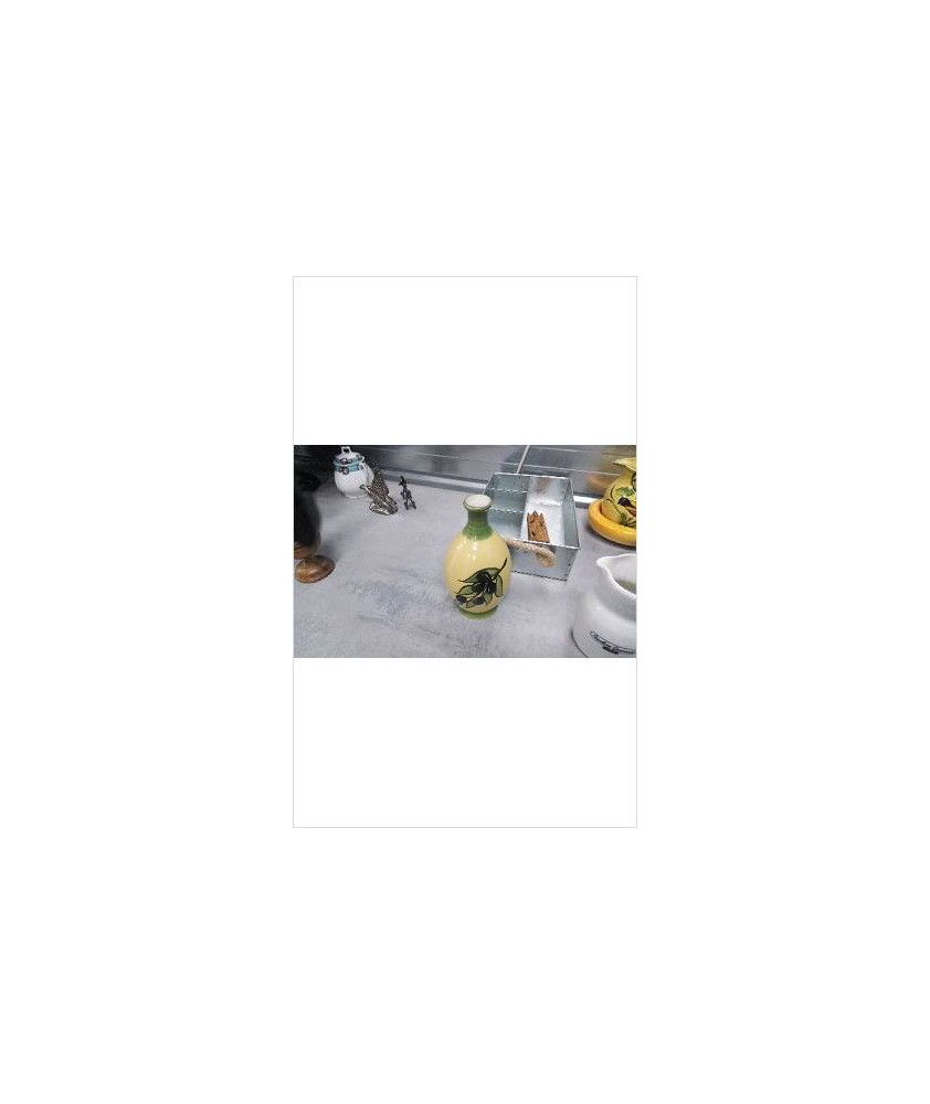 SOLIFLORE OLIVE 