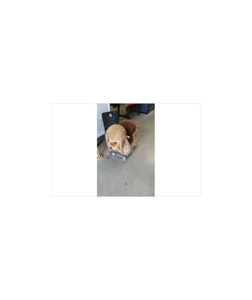 CHIEN A BASCULE/ ROULETTES 