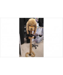 PORTE MANTEAU CHIEN