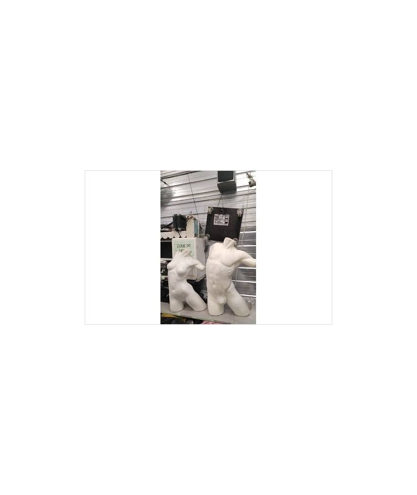 BUSTE MOUSSE - HOMME OU FEMME- EN L’ETAT
