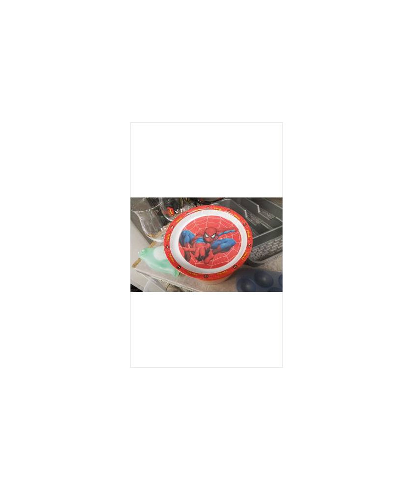 ASSIETTE SPIDERMAN 