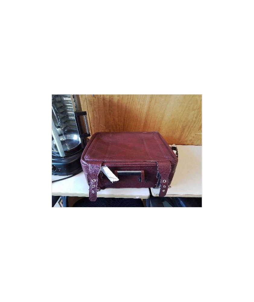 VALISE POURPRE 