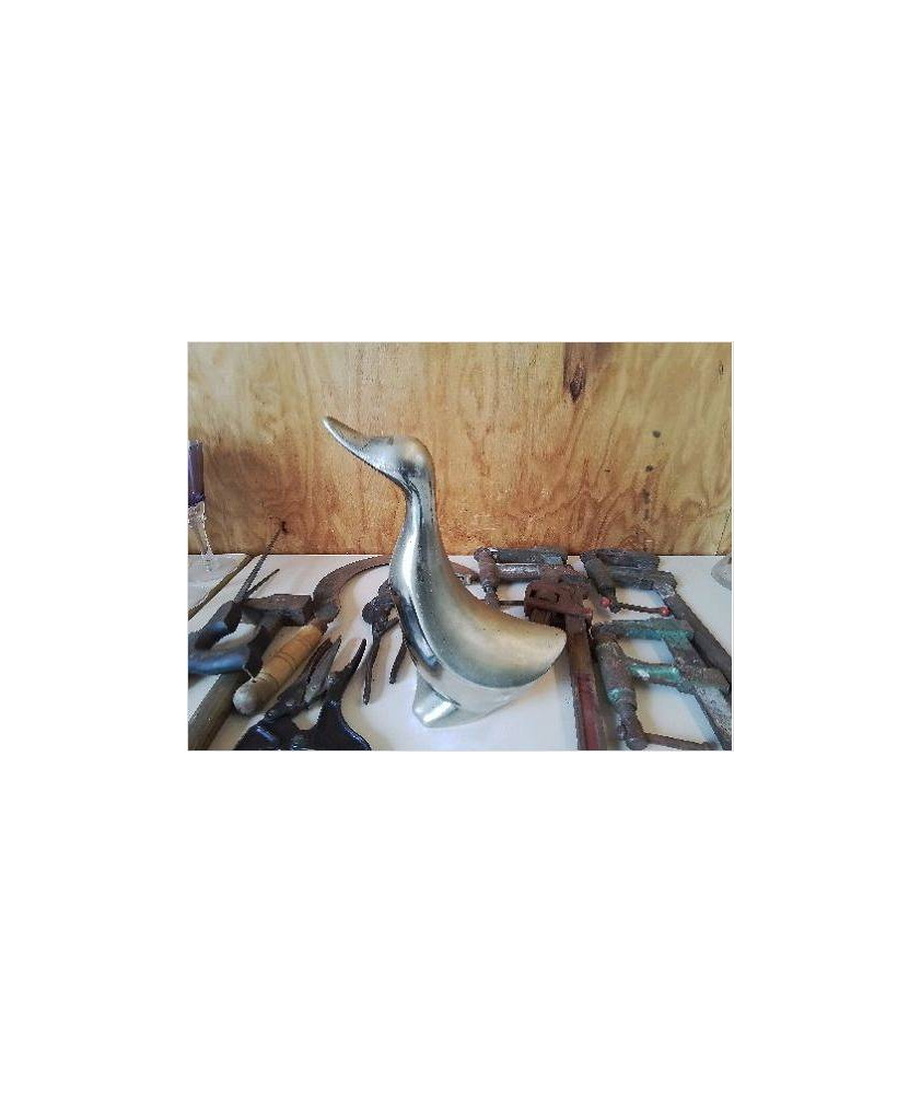 CANARD DORÉ 