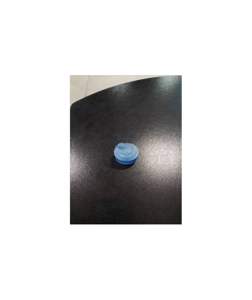 BOITE A L OISEAU VERRE TEINTÉ BLEU