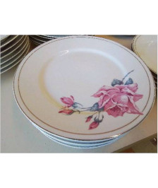 LOT DE 6 ASSIETTES EN PORCELAINE 