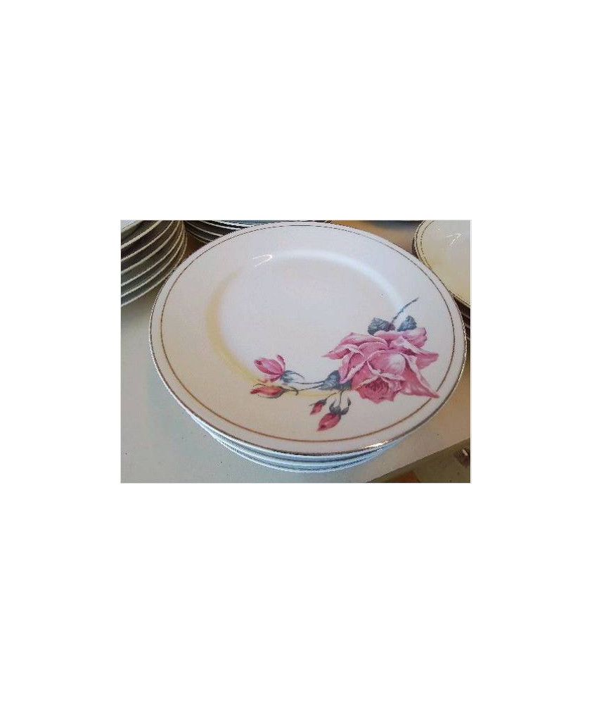 LOT DE 6 ASSIETTES EN PORCELAINE 
