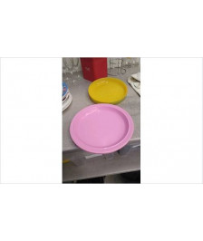 ASSIETTES PLASTIQUE 
