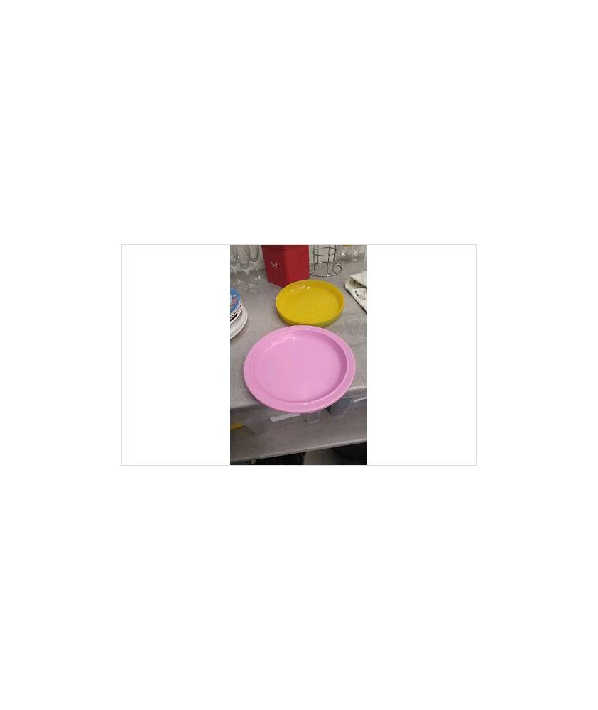 ASSIETTES PLASTIQUE 