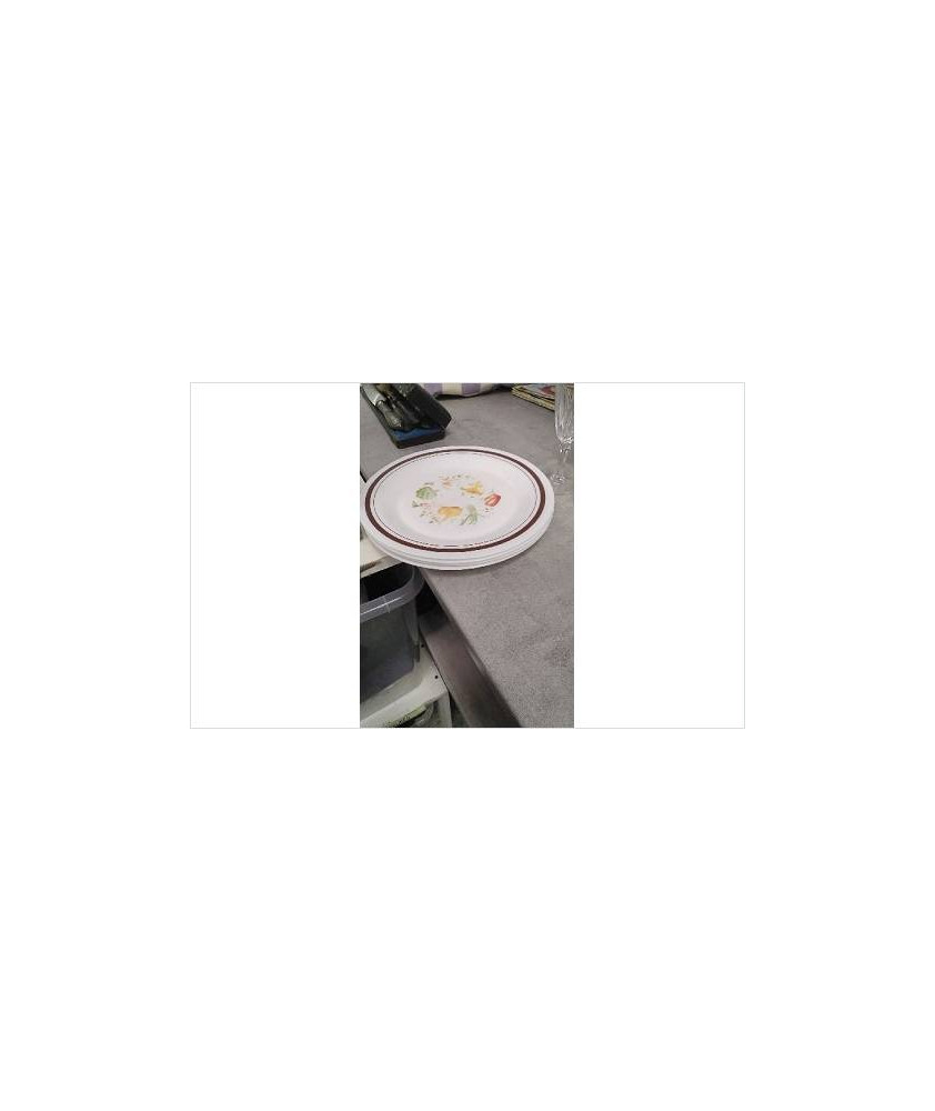 ASSIETTES ARCOPAL X4 