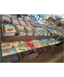 BD TINTIN 