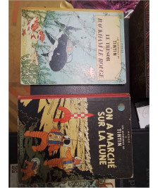 BD TINTIN 