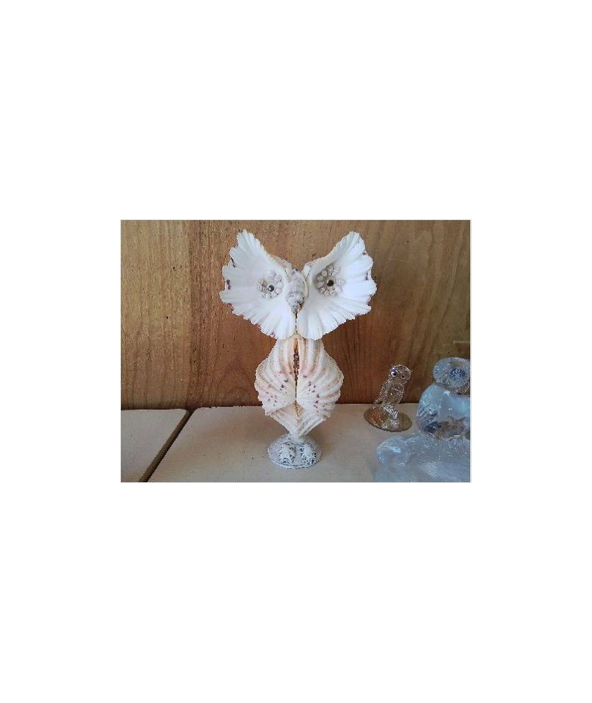 CHOUETTE COQUILLAGE 