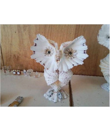 CHOUETTE COQUILLAGE 