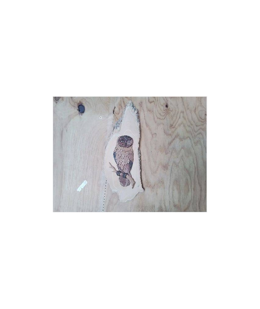 CHOUETTE CADRE EN BOIS 