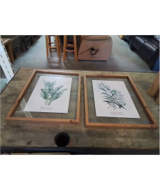 CADRE BOIS ET VERRE PLANTE
