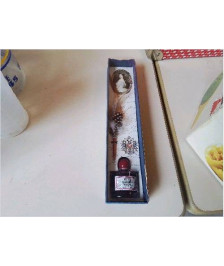 COFFRET STYLO À PLUME 