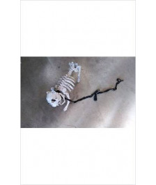 DECO HALLOWEEN SQUELETTE