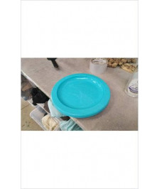 ASSIETTES PLASTIQUES 