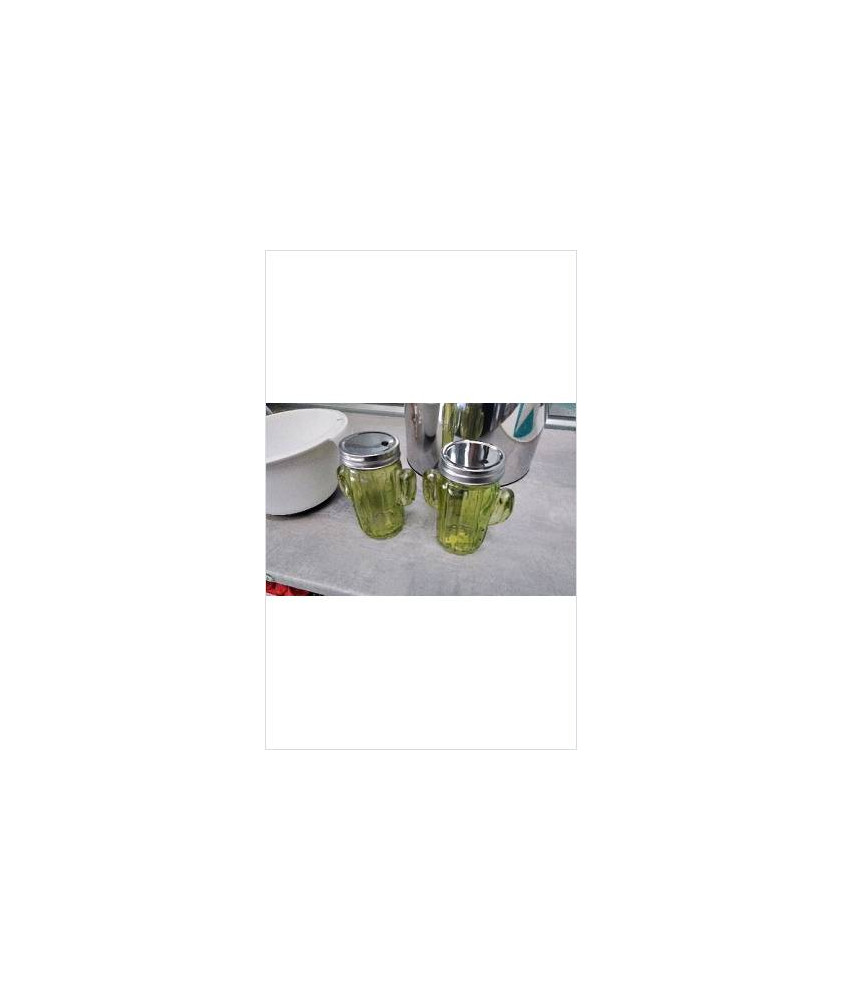 DECO LUMINEUSE CACTUS 