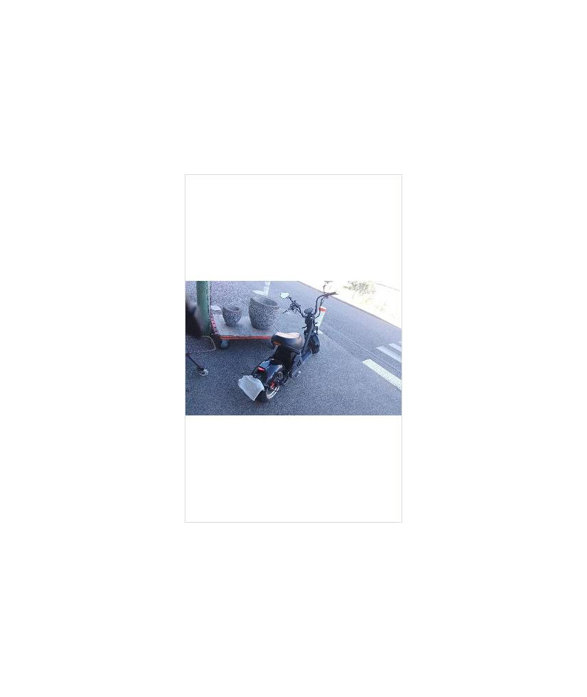 SCOOTER ELECTRIQUE MANGOSTEEN 3000W  2430KM