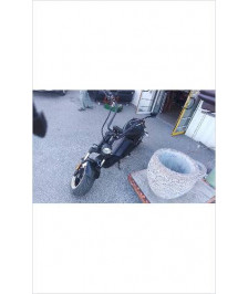 SCOOTER ELECTRIQUE MANGOSTEEN 3000W  2430KM